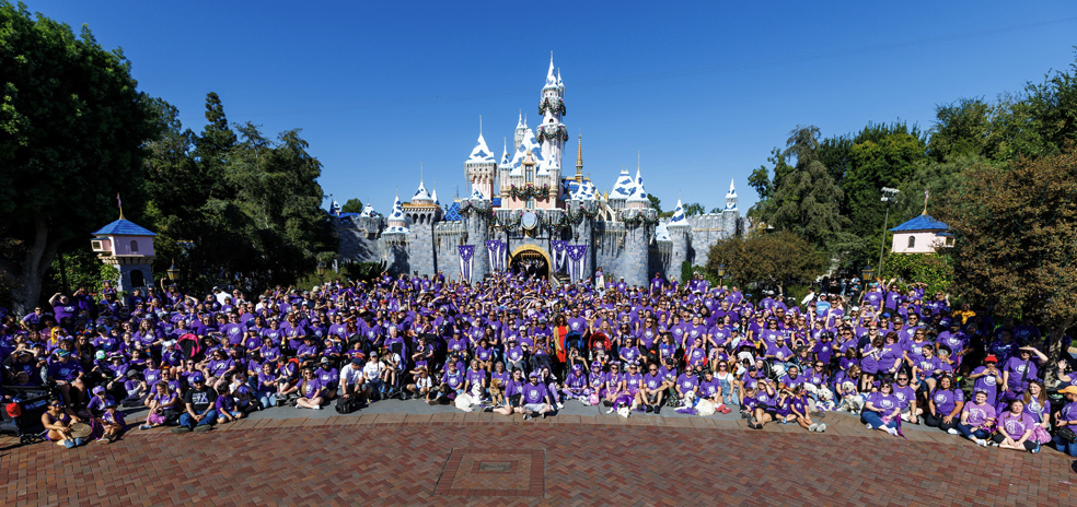 Epilepsy Awareness Day Disneyland: A Three-Day Expo Combining Education and Magic